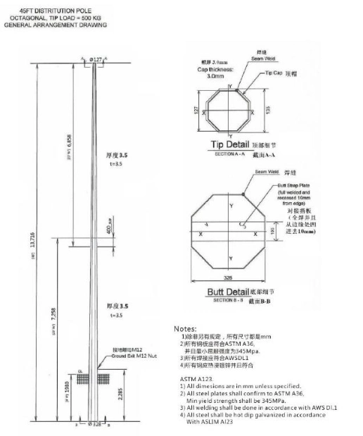 LV Electric Pole with Ladder