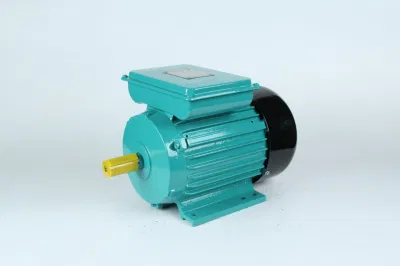 Einphasiger Elektromotor aus Gusseisen, 3 PS, 2-polig, Yc100L